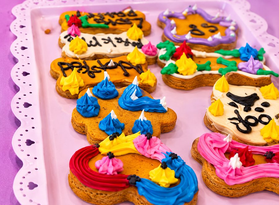 Hand-decorated dog cookies on a lavender tray