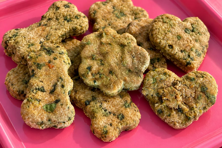 Spinach and Cheese Rounds